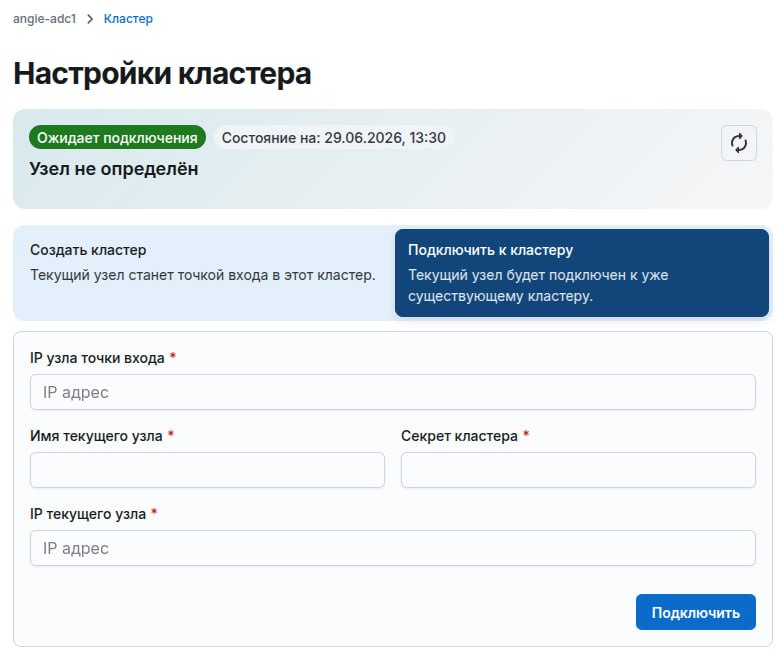 Angie ADC - вкладка "Кластер"